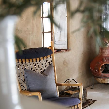 Dennehof Karoo Guesthouse 艾伯特王子镇 外观 照片